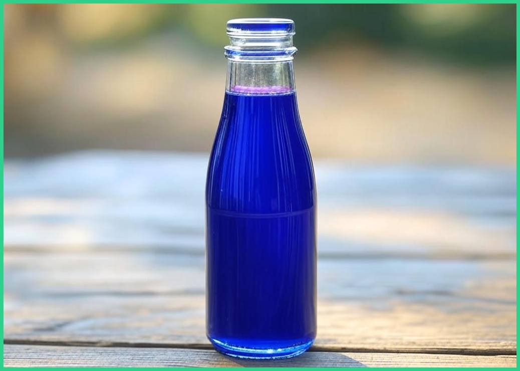 GNM자연의품격 품격있는 블루베리즙, 60개, 70ml